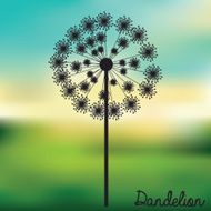 Flowers design N63
