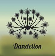 Flowers design N71