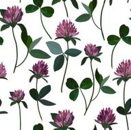 Seamless pattern clover