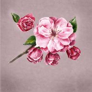 Watercolor background with the branch of flowers