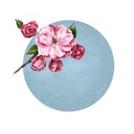 Watercolor background with the branch of flowers N2
