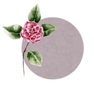 Watercolor background with Ñamellia flower N2