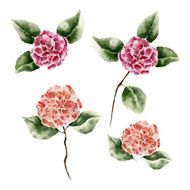 Set with Ñamellia flower