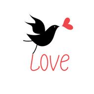 vector love bird