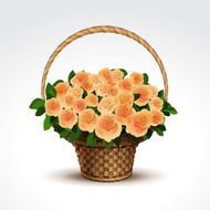 Basket of Yellow Roses Isolated