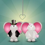 Couple of elephants spouses
