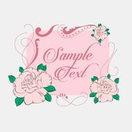 Rose on white background