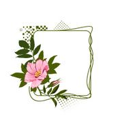 The green frame with the wild pink roses