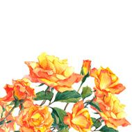 Watercolor Card with Yellow Garden Roses