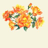 Watercolor Card with Yellow Garden Roses N3