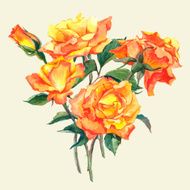 Watercolor Card with Yellow Garden Roses N5