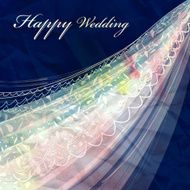 wedding veil