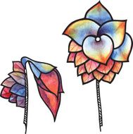 Flowers N258