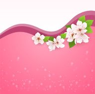 vector greeting card with cherry flowers