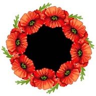 Poppies flower
