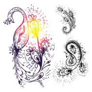 outline artistic delicate silhouette of the peacock bird