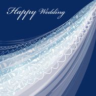wedding veil N2