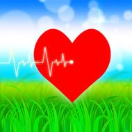 Heart Pulse Represents Valentine Day And Cardiology