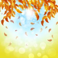 Multicolor Autumn Background