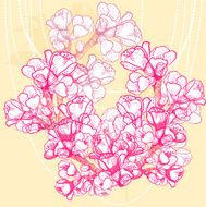 vector delicate spring flower on background