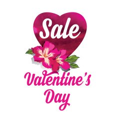 Valentine's Day sale N3