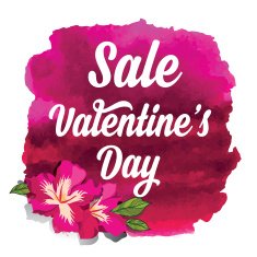 Valentine's Day sale N6