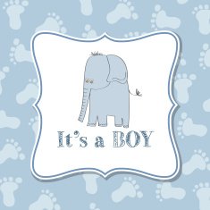 Baby boy invitation for baby shower N11