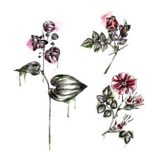 Watercolor background with flower N5