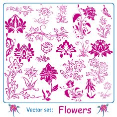 Big set of Flowers