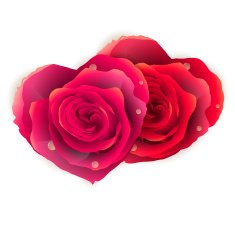 Couple Heart Made of Red Roses EPS 10