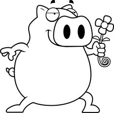 Pig Flower