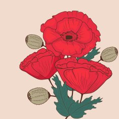 Red poppy flowers invitation card N2