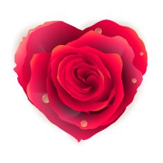 Isolated beautiful red rose heart EPS 10