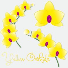 Orchid flower set in vector format N2