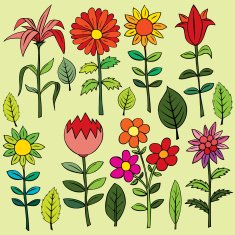 Various summer flowers N15