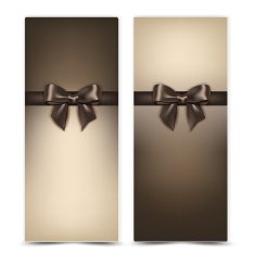 elegant banners N11