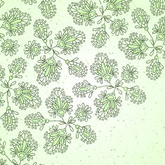 flowers vector illustration N16