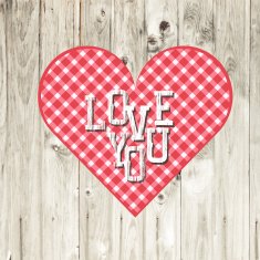 Valentine's day concept Vector