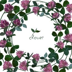 vector floral card N11