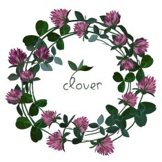 vector floral card N12