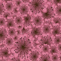 Flowers design N79