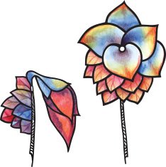Flowers N258