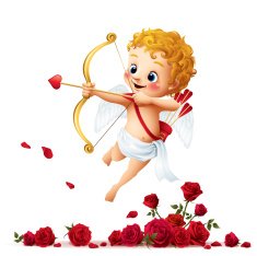 Cupid - Roses N2