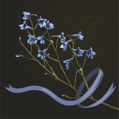 Romantic Wild Flowers Bunch with Ribbon on Dark