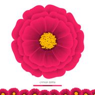 Beautiful flowers Dahlias Element for design