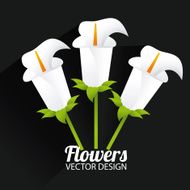 Flowers design N114