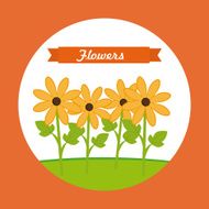 Flowers design N117