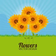 Flowers design N122