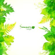 Green summer foliage vector background