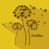 Flowers design N135